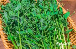 Tender Pea Shoots
