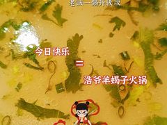 -浩爷羊蝎子火锅(望京店)