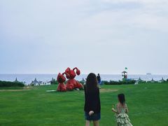 -秦皇岛阿尔卡迪亚滨海度假酒店