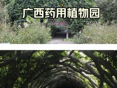 -广西壮族自治区药用植物园