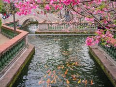 -宝墨园景区