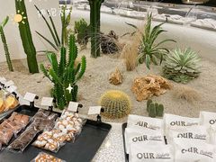 -OUR Bakery(SKP-S店)