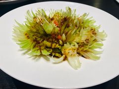 -墨泉峰味(润和国际广场店)