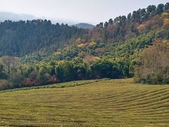 -敬亭山风景名胜区