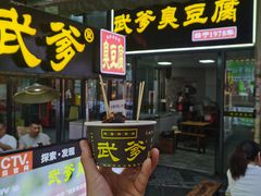 -武爹臭豆腐(坡子街店)