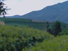 -侘山民宿(杭州西湖龙坞店)