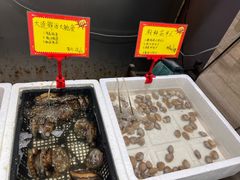 -蚝专家(北滘店)