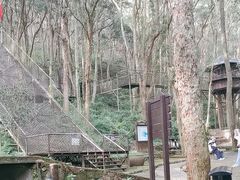 -富春桃源风景区