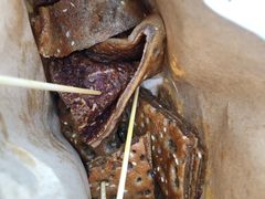 -香糯炎荞饼王(解放碑店)