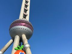 -上海大自然野生昆虫馆(东方明珠·爬宠昆虫探索中心)