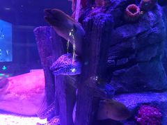 -沈阳海洋探索中心