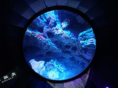 -成都浩海立方海洋公园