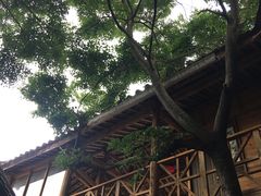 -长虫山生态公园风景林