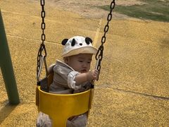 -羊亭河湿地公园