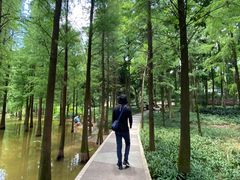 -广州市帽峰山景区