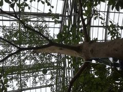 -南山植物园