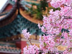 -宝墨园景区