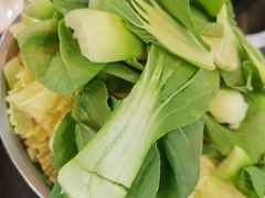 -绿色墨脱石锅城