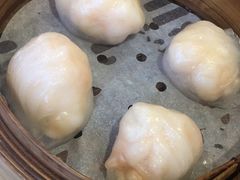 晶莹鲜虾饺-添好运点心专门店(深水埗店)