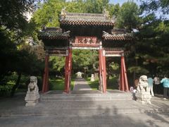 -迎泽公园