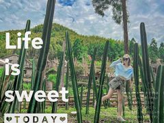 -MOJ coffee(瓯海泽雅水碓坑店)