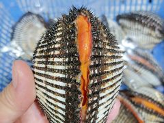 -海味当家·蒸锅海鲜(星海公园店)