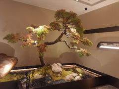 -湘上湘(米其林餐厅-正大中心总店)