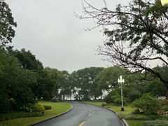 -浙江西子宾馆·瑶园咖啡厅