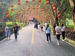 -大屏嶂森林公园