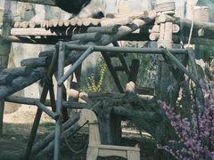-青藏高原野生动物园