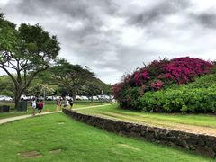 -夏威夷岛