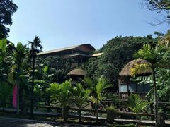 -海南槟榔谷黎苗文化旅游区