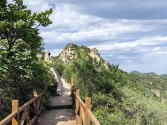 -大岭沟猕猴桃谷风景区