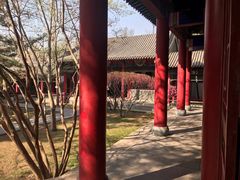 -碑林公园