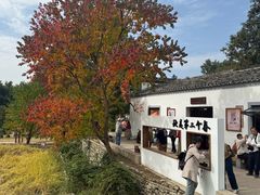 -塔川景区