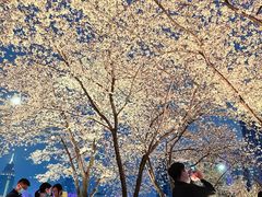 -西北湖绿化广场