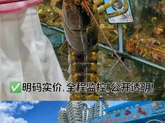 -小海豚·老字号海鲜餐厅(三亚湾店)