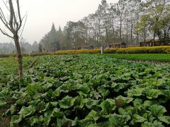 -夏河溪乡野公园