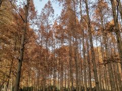 -河南省黄河迎宾馆