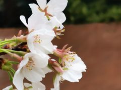 -幕燕滨江·长江观音景区