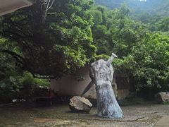 -紫云谷景区