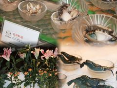 -半岛翡丽海鲜自助餐厅(观风亭店)