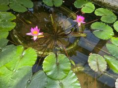 -国家植物园南园