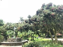 -开心农场温泉度假村