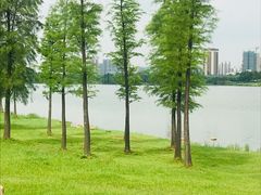 -飞来湖湿地公园
