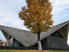 -西安浐灞国家湿地公园