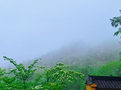 -九华山风景区