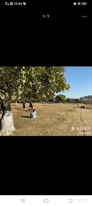 松山湖南湖湾露营营地图片