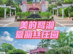 -美的鹭湖森林度假区
