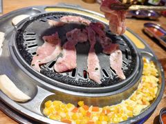 -首尔朴宝·炭火烤肉(五角场店)